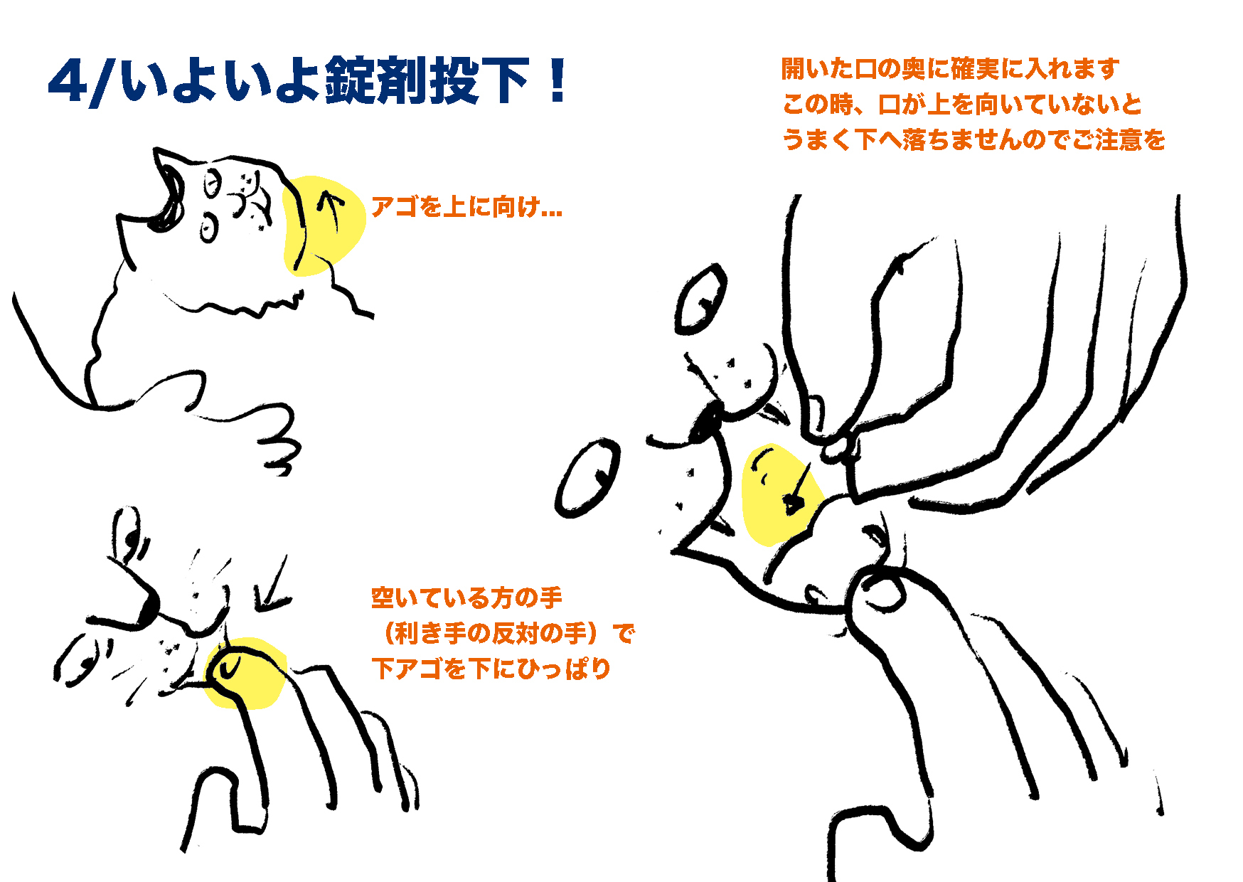 プチコのこと_2　#猫 慢性腎臓病 #投薬方法_e0026053_14074368.jpg