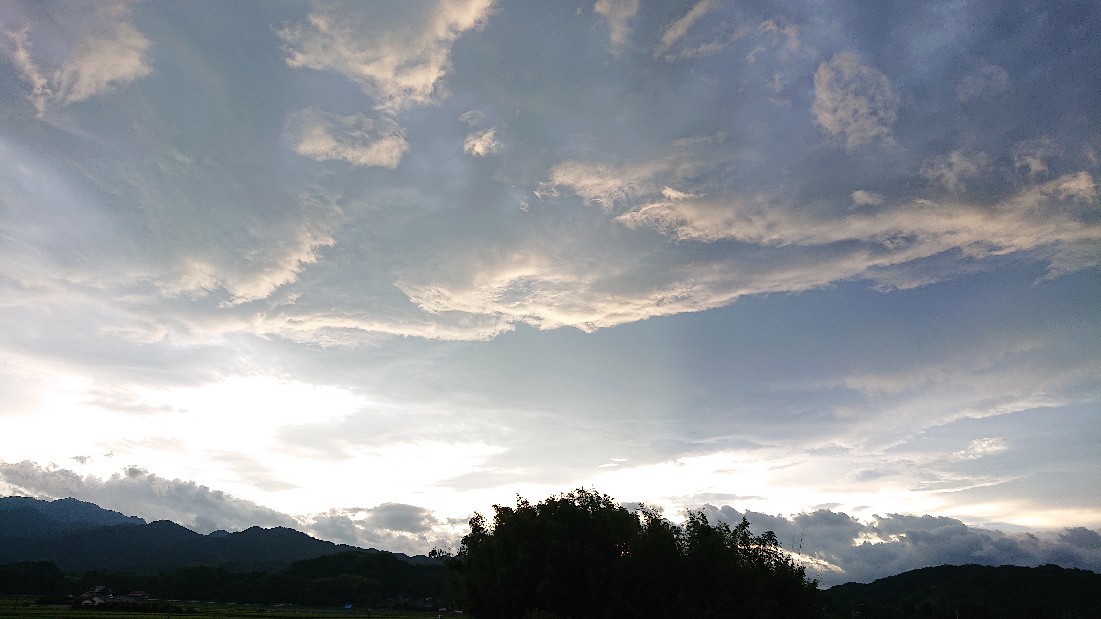 何が起きても…！***_e0290872_16445932.jpg