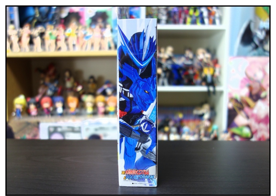 DX水勢剣流水エンブレム&ライオン戦記ワンダーライドブックで徹底的に遊んでみよう!!_f0205396_13182813.jpg