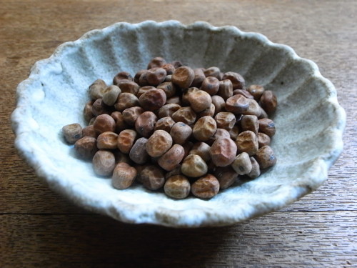 9月の豆はじめ(手亡・赤えんどう)_d0122797_00292389.jpg