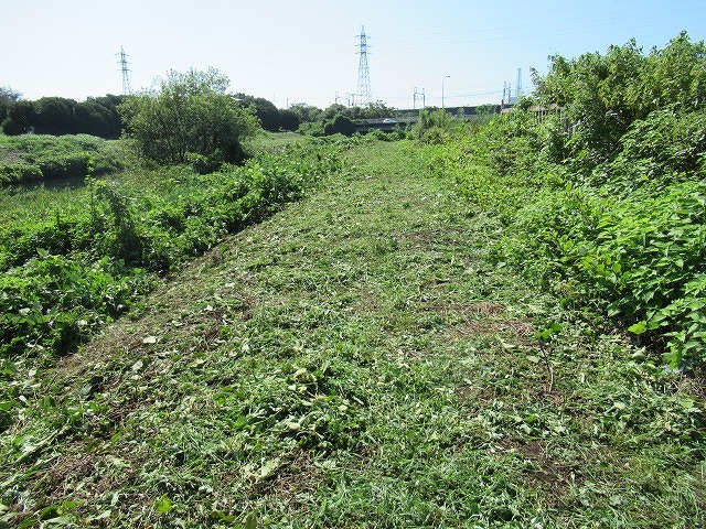 写真をアップし改めて 「とにかくバテた! 蒸し暑い中、滝川でヒガンバナの開花の前の草刈り清掃」_f0141310_20570762.jpg