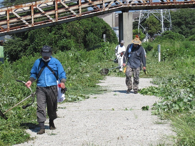 写真をアップし改めて 「とにかくバテた! 蒸し暑い中、滝川でヒガンバナの開花の前の草刈り清掃」_f0141310_20581779.jpg