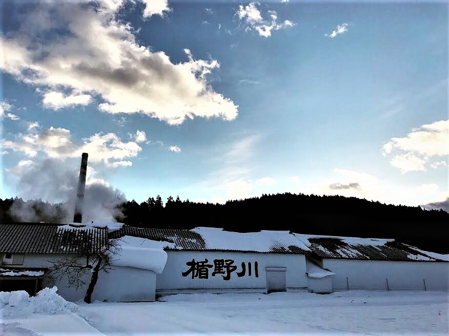 【日本酒】楯野川🍁秋編『源流冷卸』純米大吟醸 美山錦✨50磨き 蔵元低温貯蔵熟成🐧SPver 特別限定蔵出し 令和1BY🆕_e0173738_12434293.jpg