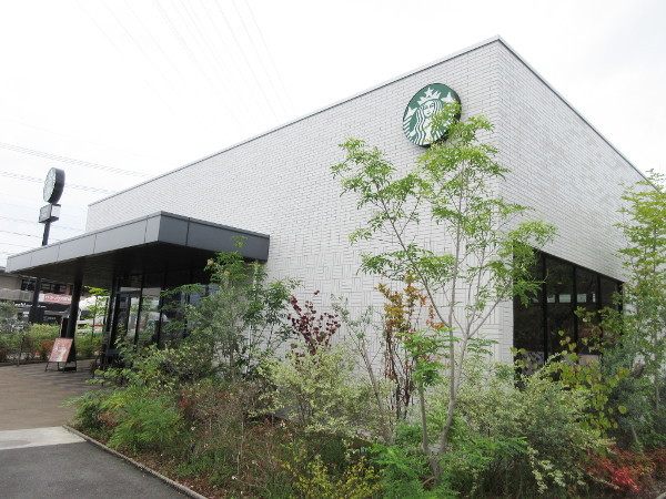 スターバックス・コーヒー 多治見光ケ丘店_c0152767_13162985.jpg
