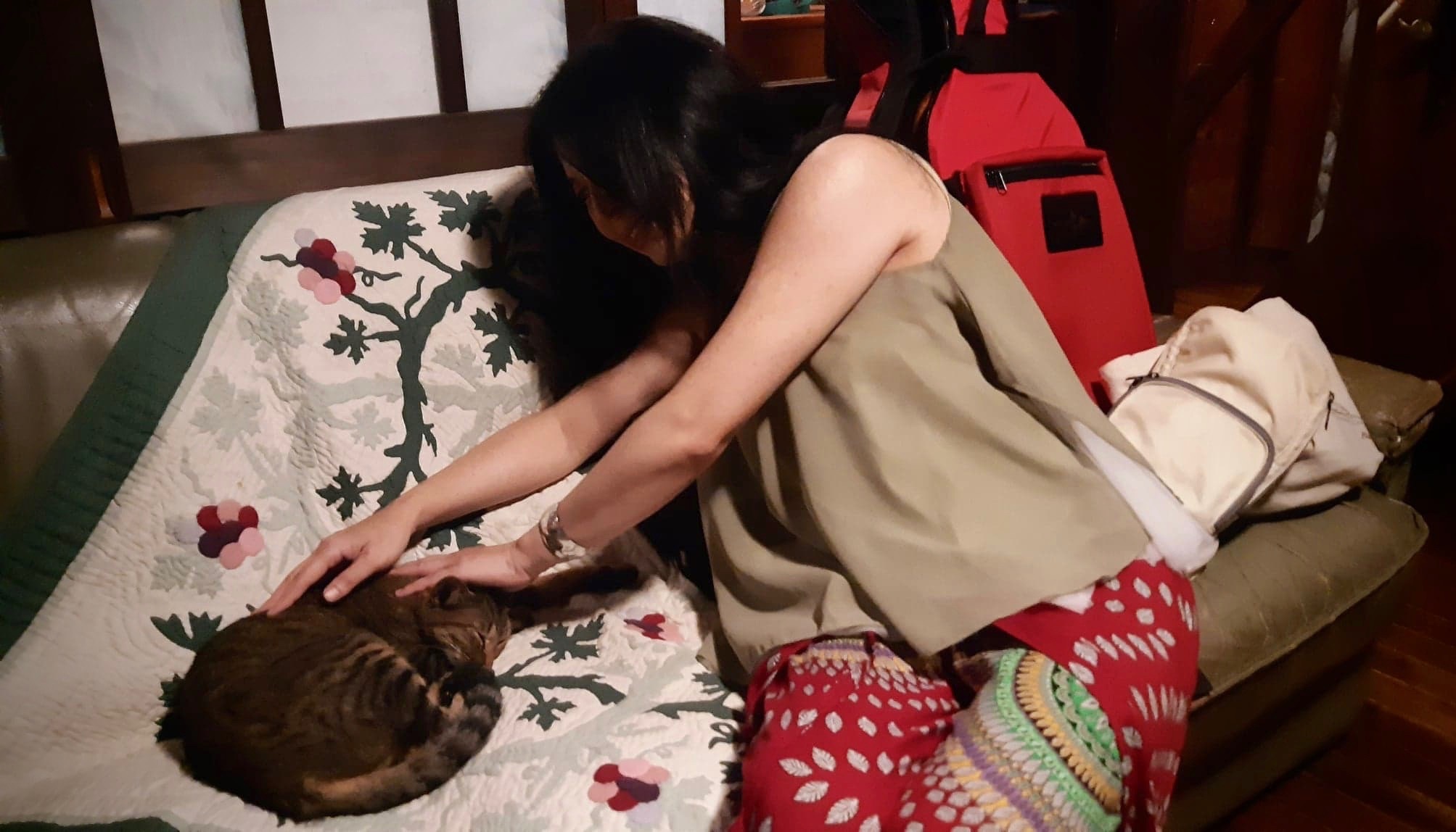 初「山猫軒」きもちよし〜(ミクロマクロ )_d0244370_22155962.jpg