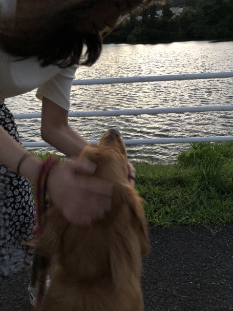 嵐の名残り。_a0394574_22033394.jpeg