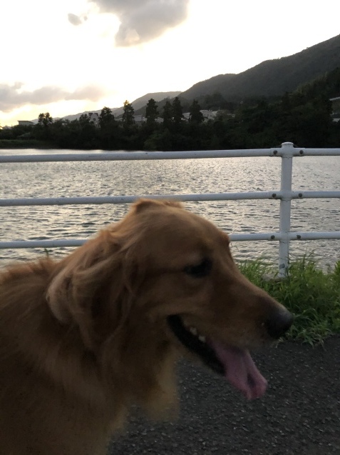 嵐の名残り。_a0394574_22042757.jpeg