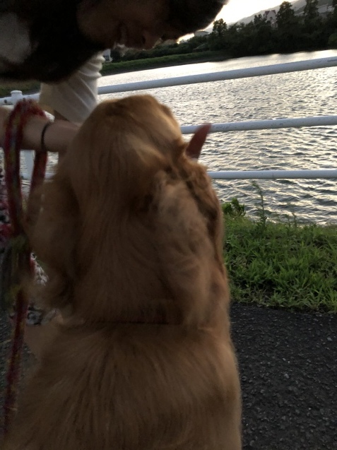 嵐の名残り。_a0394574_22071153.jpeg