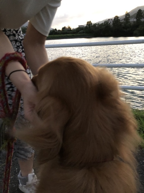 嵐の名残り。_a0394574_22090469.jpeg