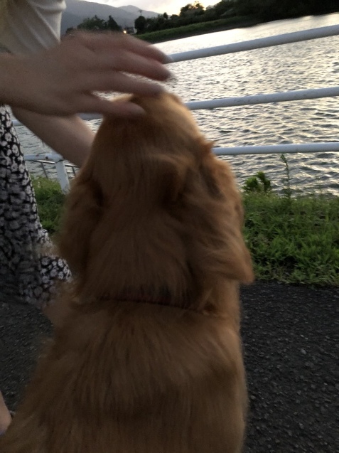嵐の名残り。_a0394574_22131666.jpeg