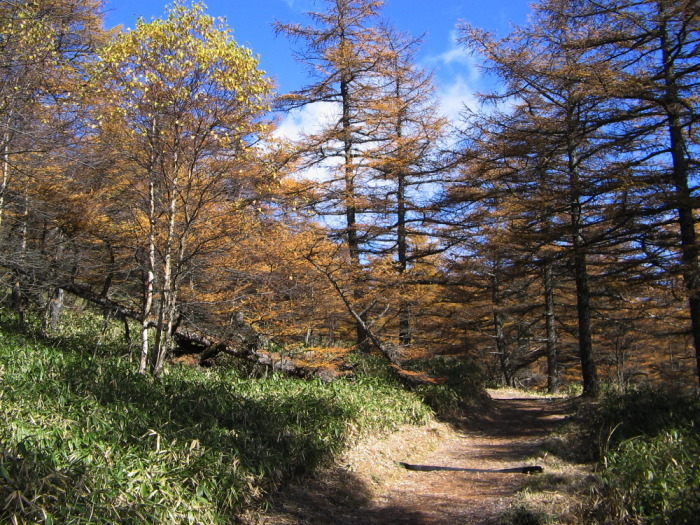  思い出の撮影行　池の平湿原　後半_e0165983_12101366.jpg