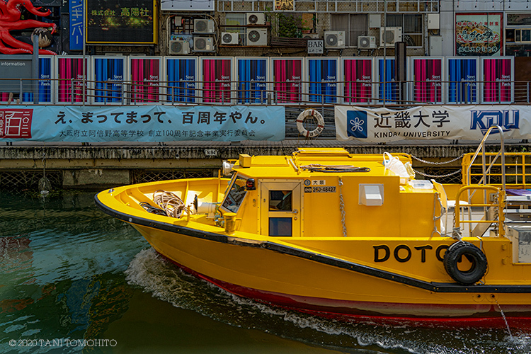 がんばれOSAKA!_d0039493_19275759.jpg