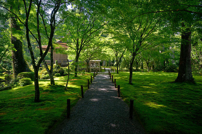 夏寺巡り@大原 三千院_f0032011_19423720.jpg