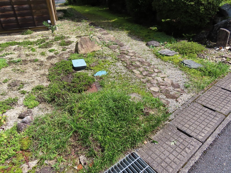 ディープチェリーの素敵なXV_f0076731_21125513.jpg