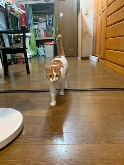 中に行こうよ_a0028451_16180300.jpg