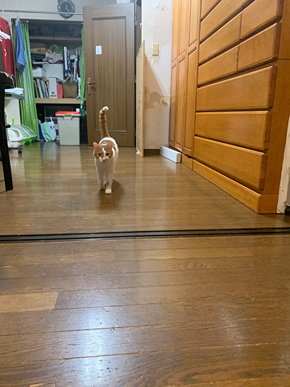 中に行こうよ_a0028451_16180385.jpg