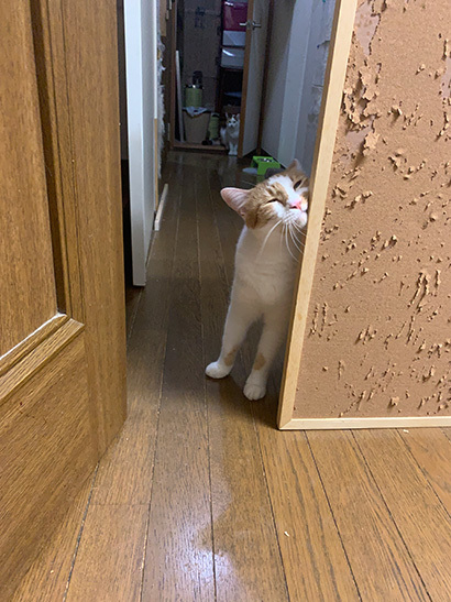 中に行こうよ_a0028451_16180465.jpg