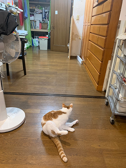中に行こうよ_a0028451_16194746.jpg