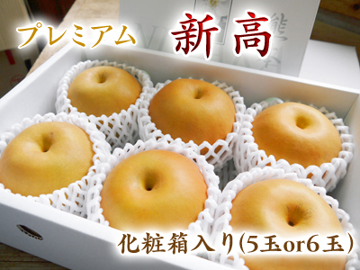 熊本県産!ジャンボ梨『新高』令和4年度の先行予約受付スタート!売り切れ必至の大人気!ご注文はお早めに_a0254656_17391460.jpg