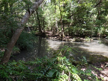 平山城址公園_e0033570_22051359.jpg