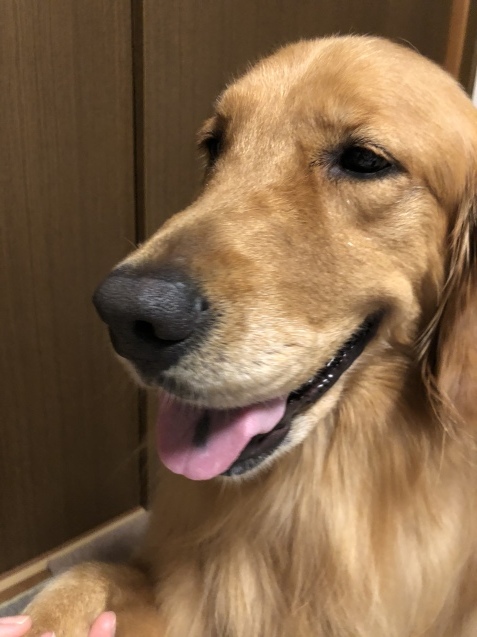 限界なのかな。_a0394574_22042130.jpeg