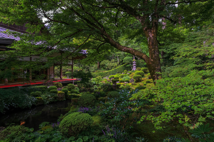 三千院_e0051888_07235089.jpg