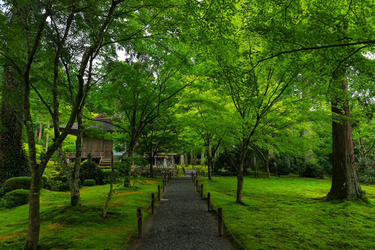 三千院_e0051888_07270209.jpg
