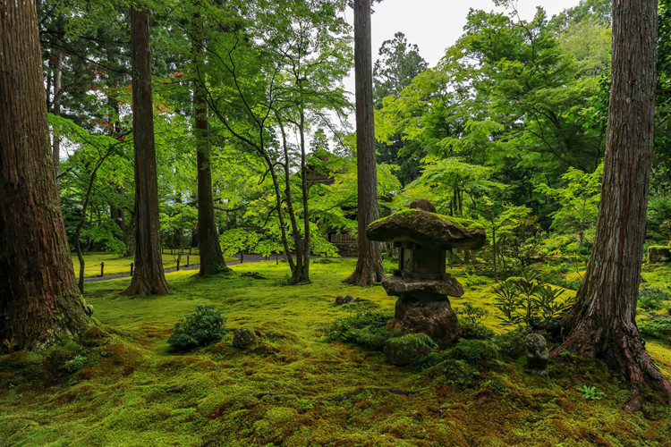 三千院_e0051888_07270296.jpg