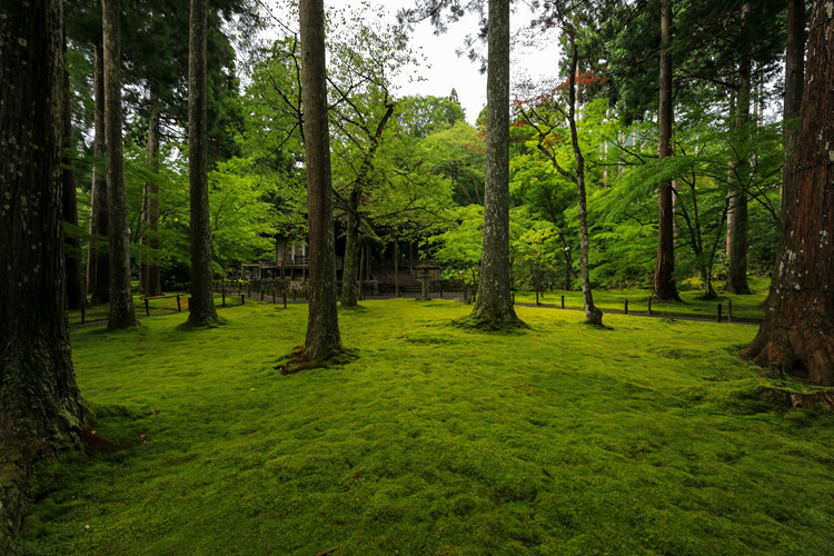 三千院_e0051888_07270350.jpg