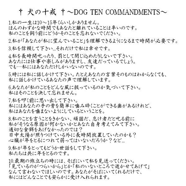 犬のお話。_b0219993_16504046.jpg