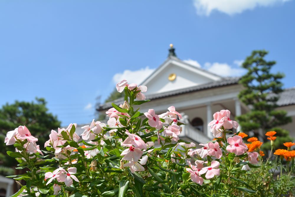 三重県庁舎前の花々_e0373930_20113647.jpg