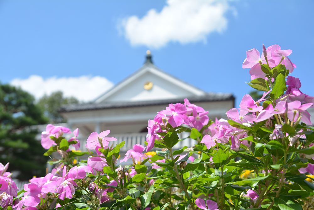 三重県庁舎前の花々_e0373930_20113663.jpg