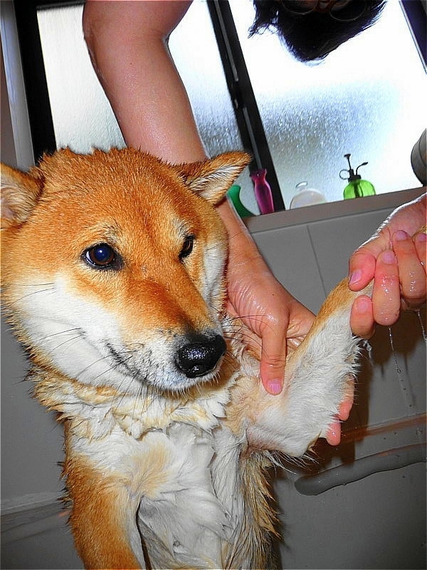 見解の相違_b0314043_07323742.jpg