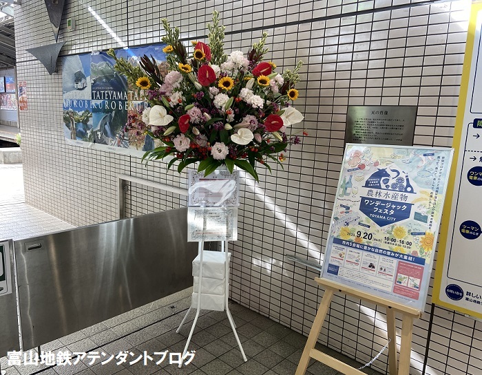 お花で癒されよう_a0243562_13100552.jpg
