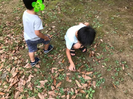 どんぐり拾い 3カ国ファミリー日記