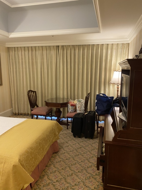 年8月 Withコロナ 真夏の６人家族のディズニー旅行記 大家族で行く ディズニー日記