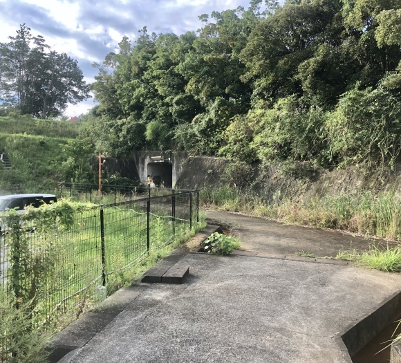 メガマンションへウォーキング_c0388708_07395088.jpeg