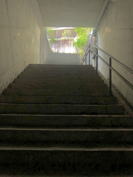 メガマンションへウォーキング_c0388708_07402229.jpeg