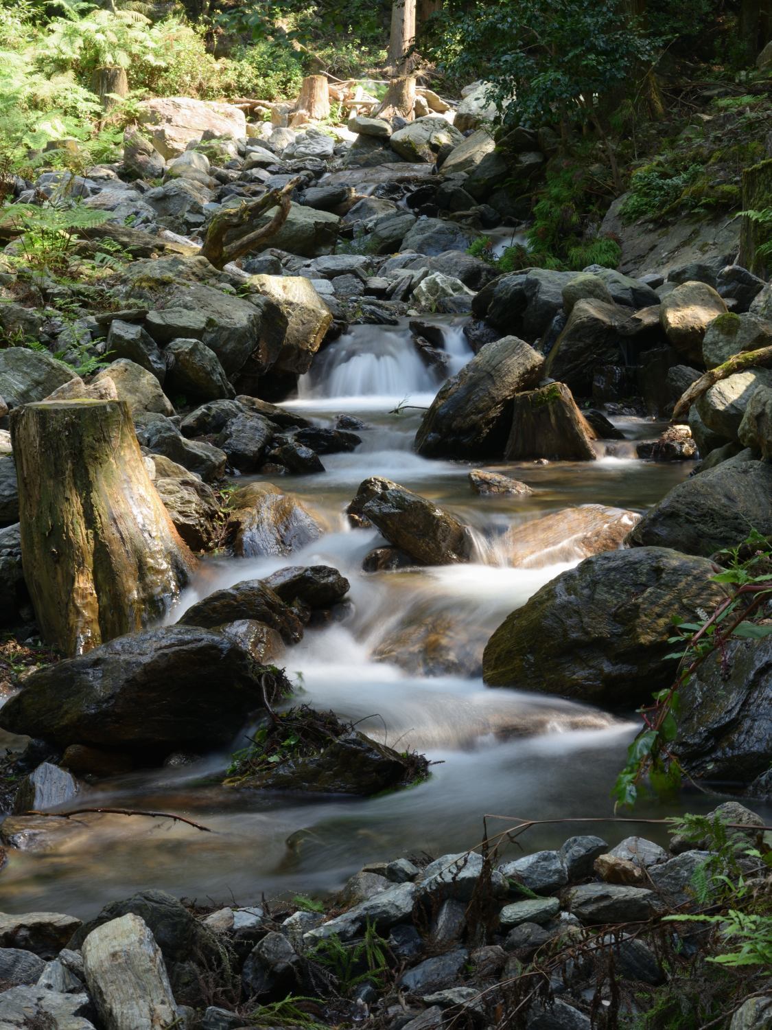 沢遊び！_d0355116_19394220.jpg