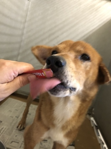 _f0078320_14174670.jpeg