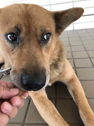_f0078320_15064109.jpeg