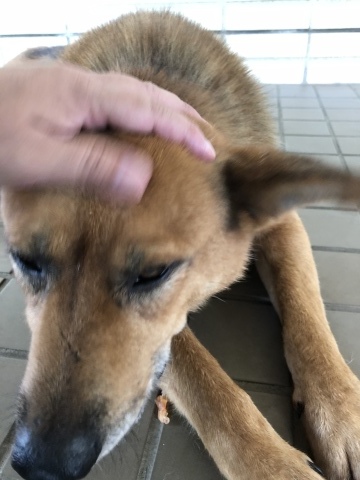 _f0078320_15073966.jpeg