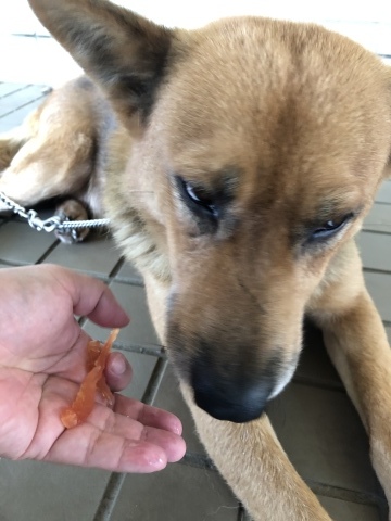 _f0078320_15080377.jpeg