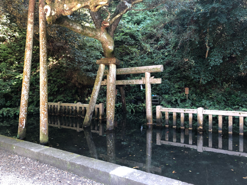 関東最強パワースポット『東国三社参り』鹿島神宮・息栖神社・香取神宮へお礼参りに_f0023333_21102408.jpg