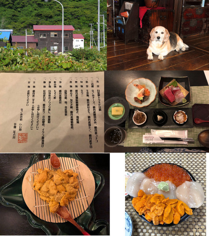 9月10日“今頃。。”_d0069235_13005339.jpg