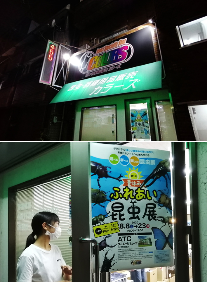 秋支度_d0351435_07072328.jpg