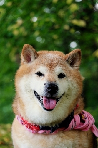 誰の仕業だ?_b0314043_07581183.jpg