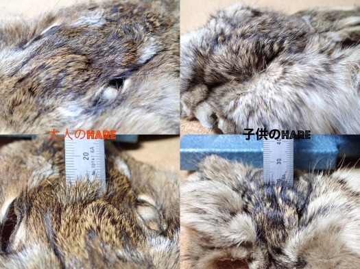 Anglefield Fly Supplies さんから、イヤリングヘアーズマスク_e0029256_16395475.jpg