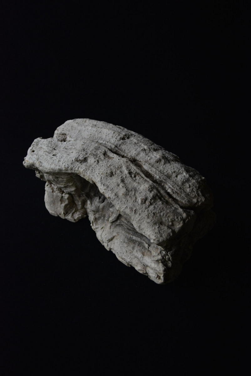 「松永圭太展 砂漠のゼブラ」6日目_d0087761_11583022.jpg