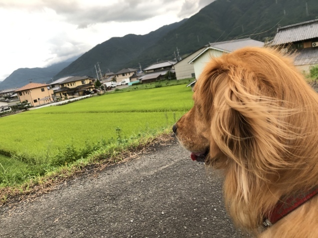 距離感。_a0394574_21100103.jpeg